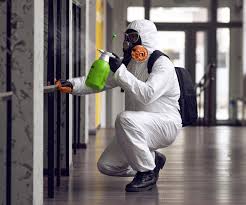 Best Mold Remediation for Healthcare Facilities in USA